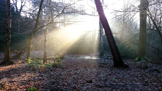 1755392 (a): :1920x1080